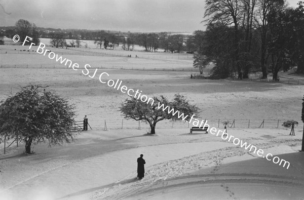 RATHFARNHAM CASTLE GROUNDS IN THE SNOW